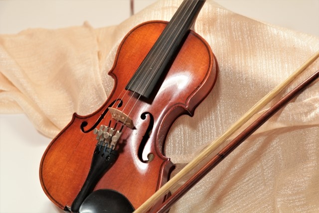 左利き用ヴァイオリンの画像